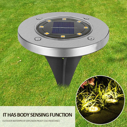 Solar Powered Buried LED Pathway Lights